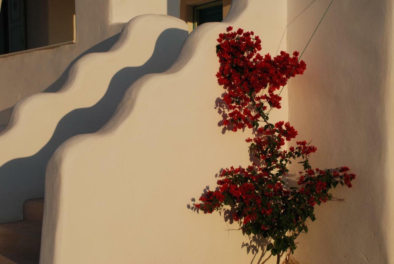 Villa Kampos Naousa-Marpisa Ambelász Kültér fotó