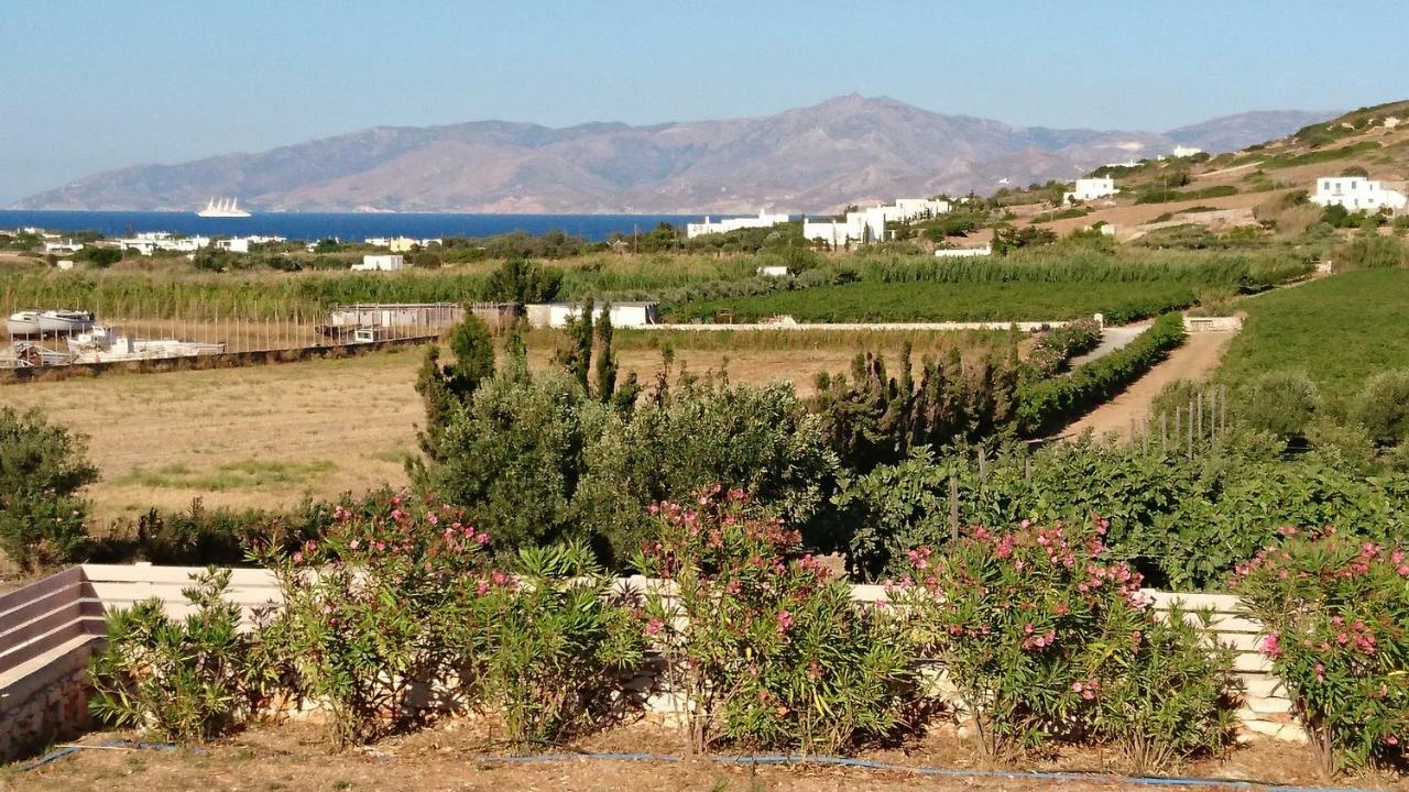 Villa Kampos Naousa-Marpisa Ambelász Kültér fotó